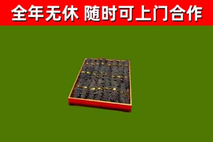 瀍河回收海参